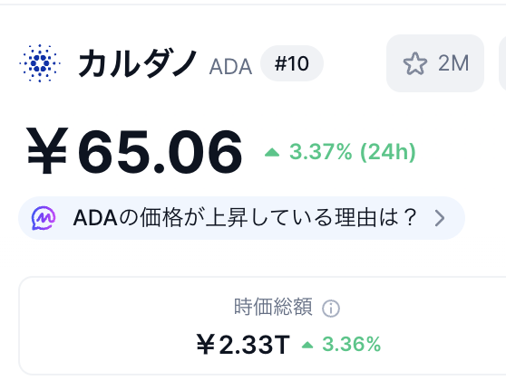 CARDANO・MOMOKA👼 tweet media