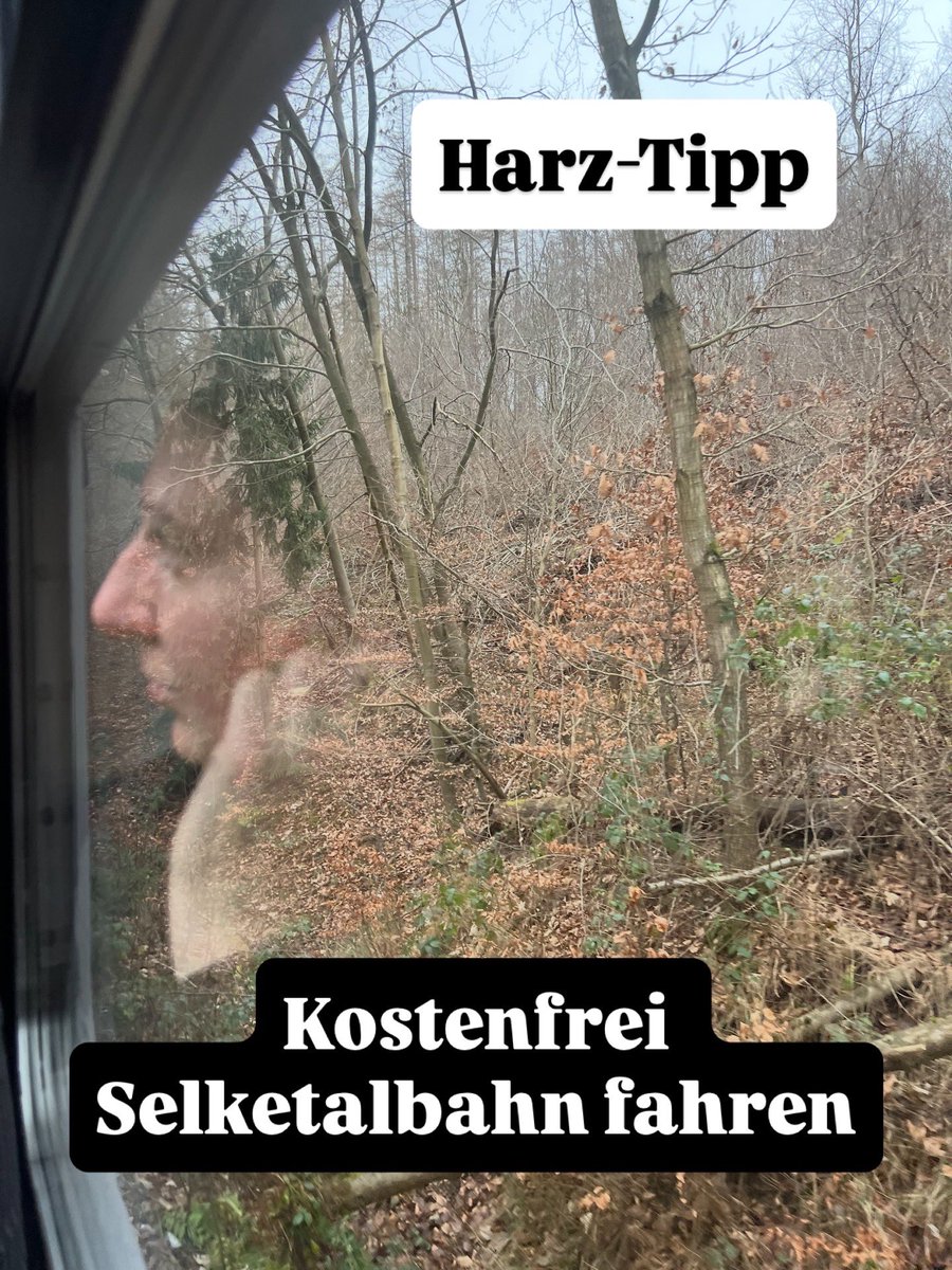 Madeleine Linke tweet media