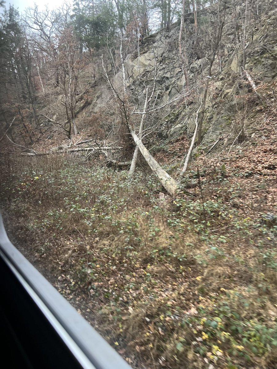 Madeleine Linke tweet media