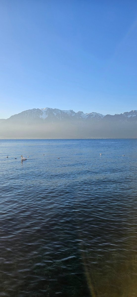 ImpactAlpin's tweet photo. Quand tu peux profiter du paysage tout en travaillant. Vevey, Suisse 👇 https://t.co/RqtN9hoNVC