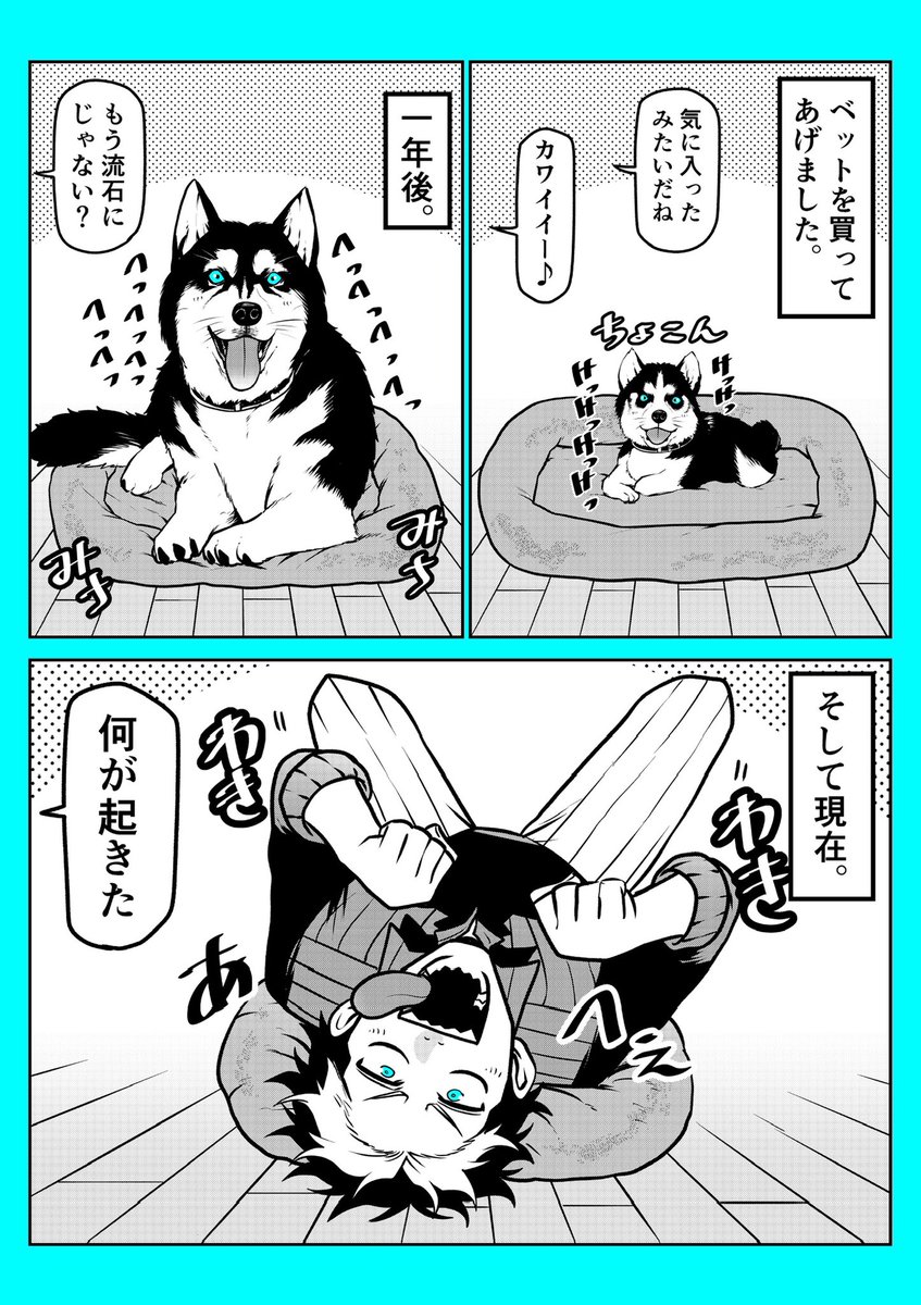 犬の成長は早い。 