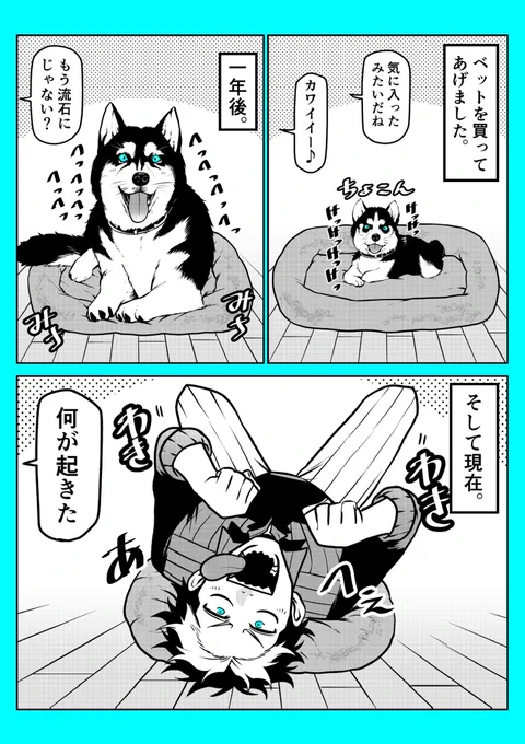 犬の成長は早い。 