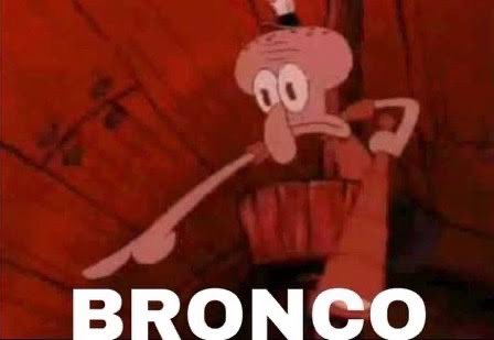 Mr Mammal tweet media