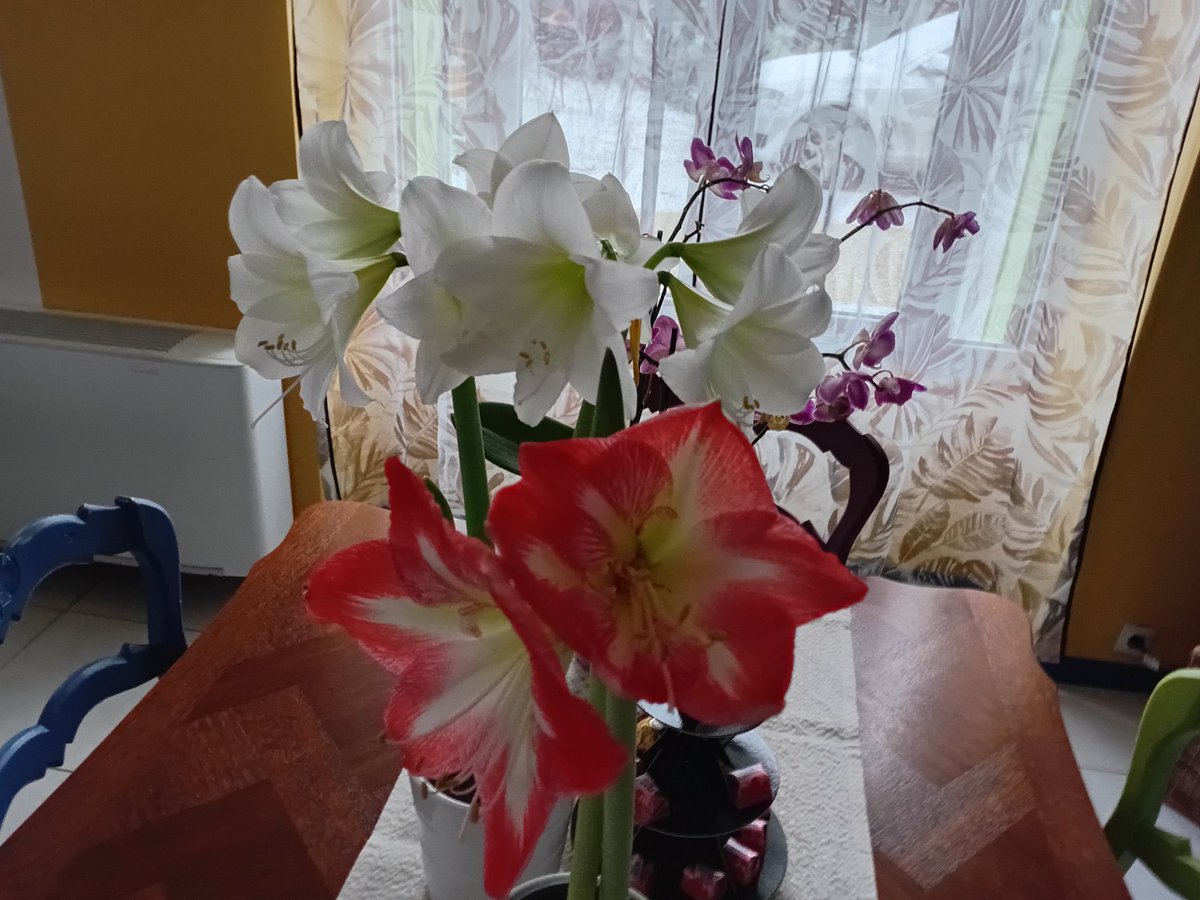 c'est moi tweet media