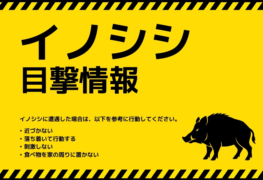 うり坊2匹です。 mqdefault.jpg