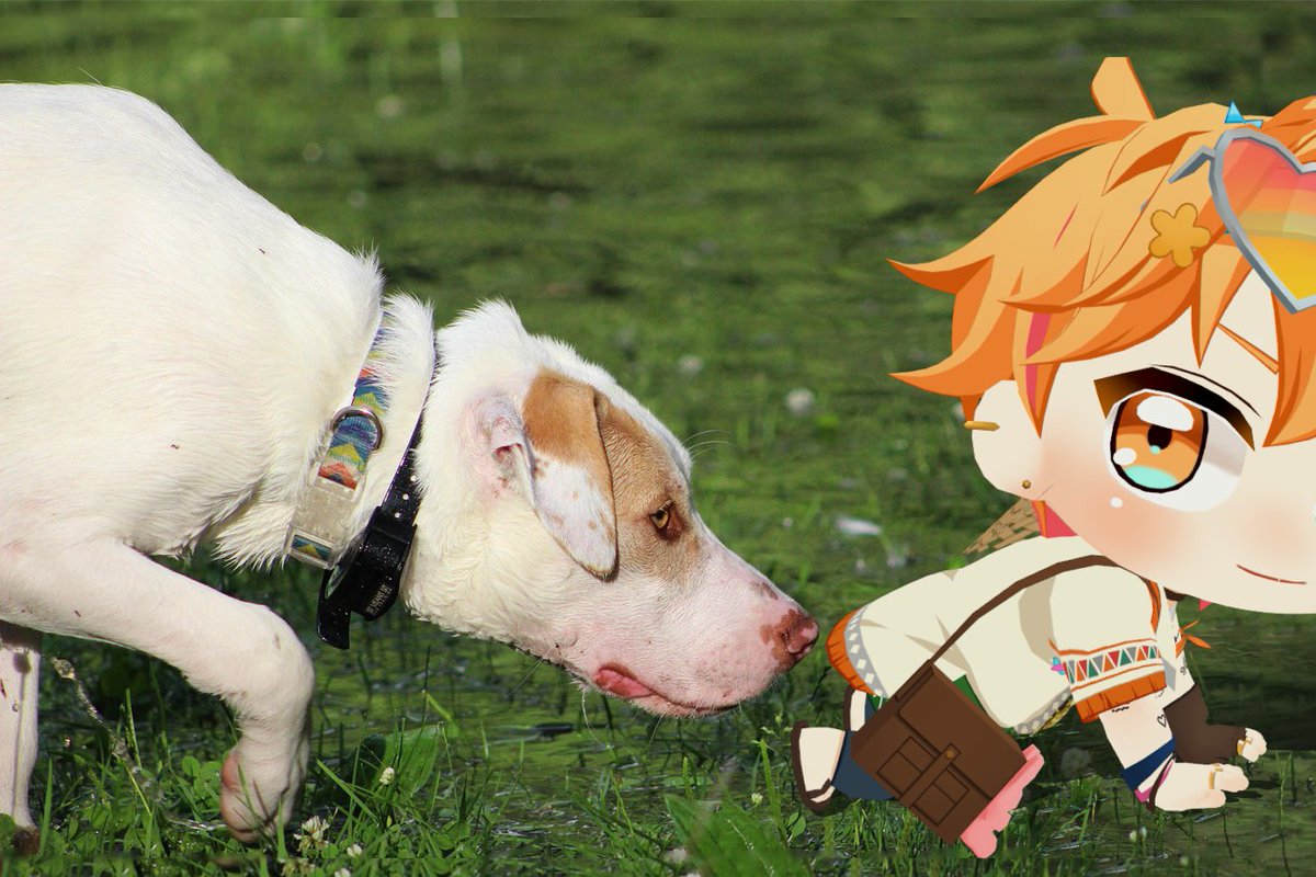 #니노합성대회
1등 상상하지도 못했습니다. 감사합니다💝 사진 공유합니다.