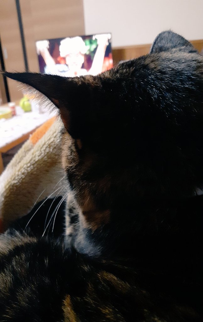 はるるん (@RNPrJ9xfX3PSoaA) / Posts / X