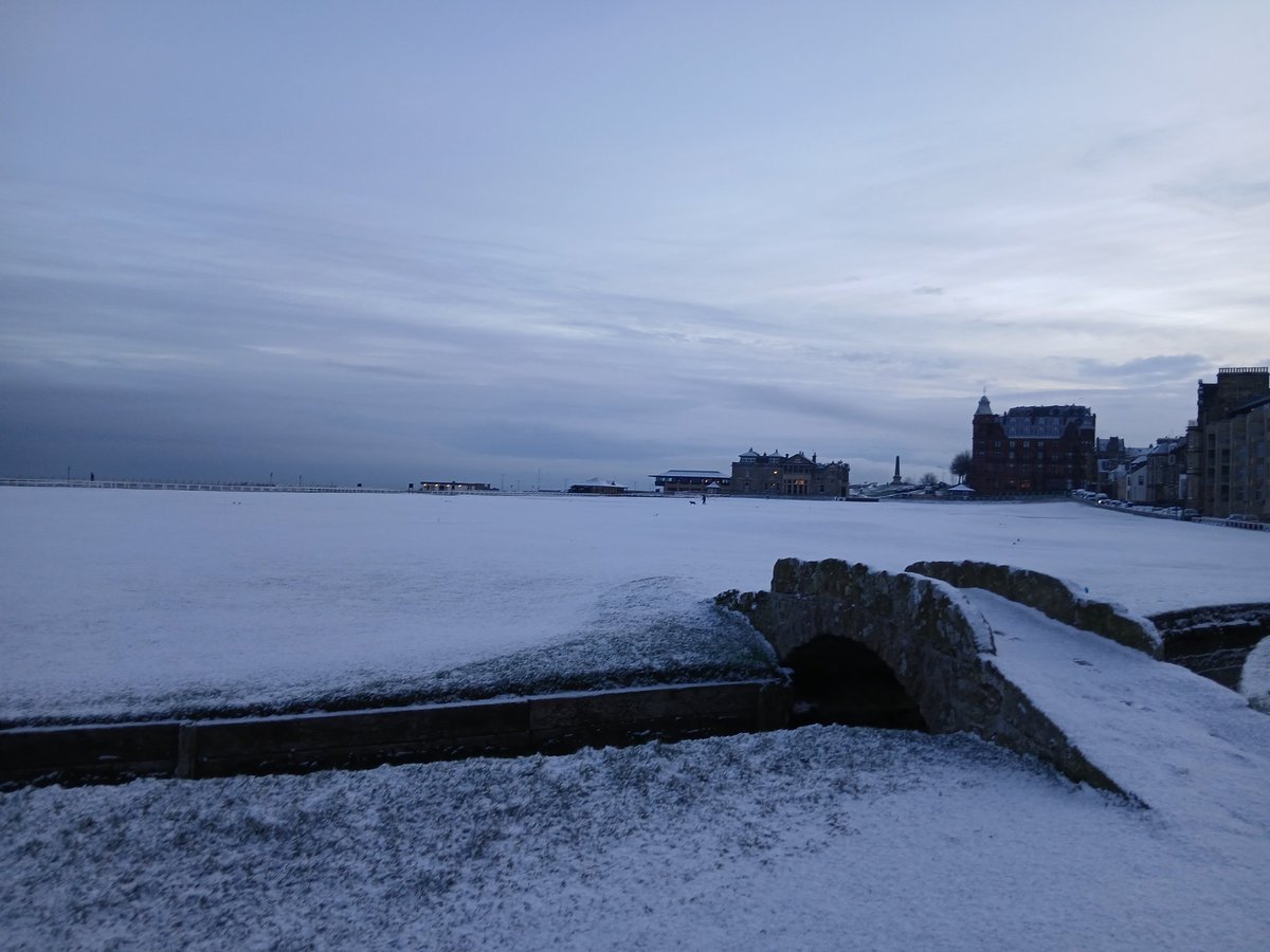 David Poulton tweet media