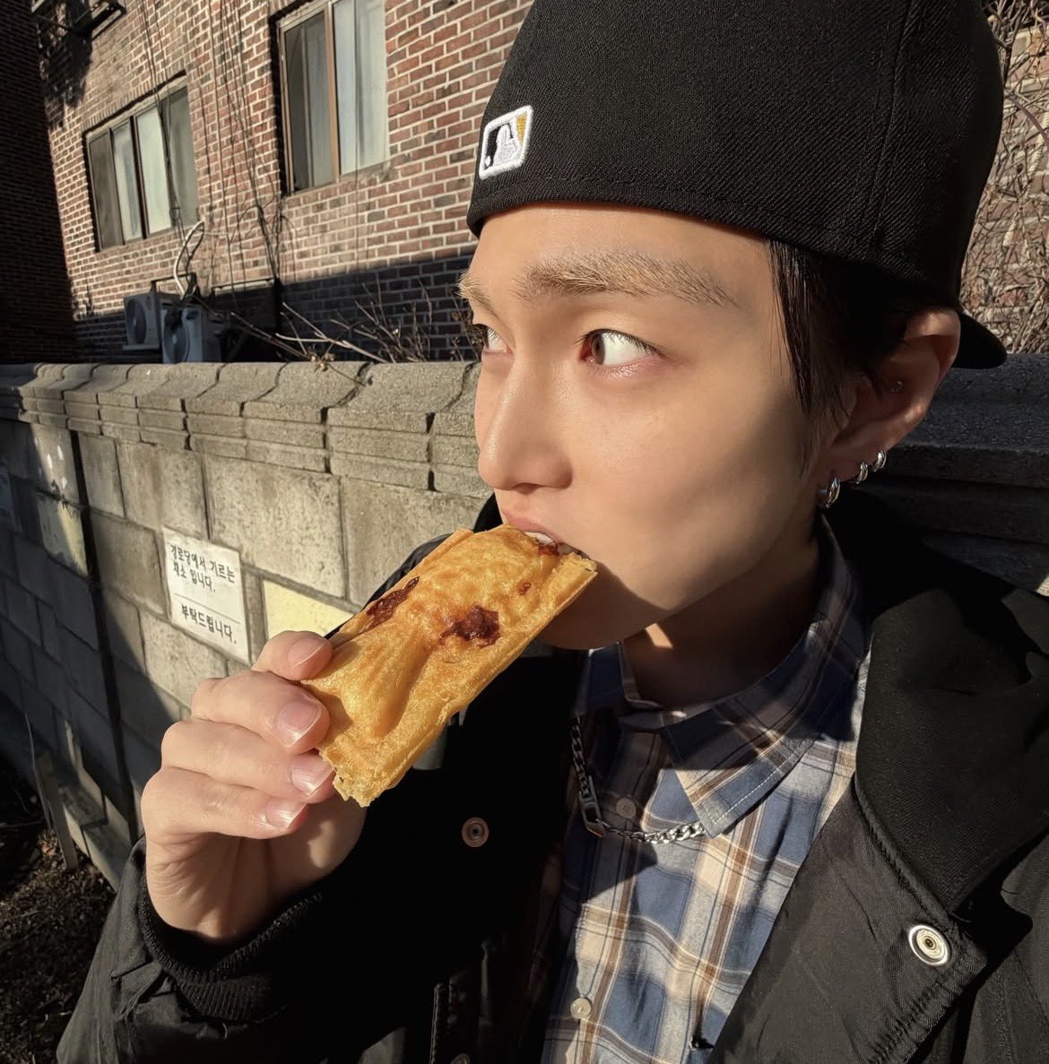 at least he didnt trim his eyebrows 😺