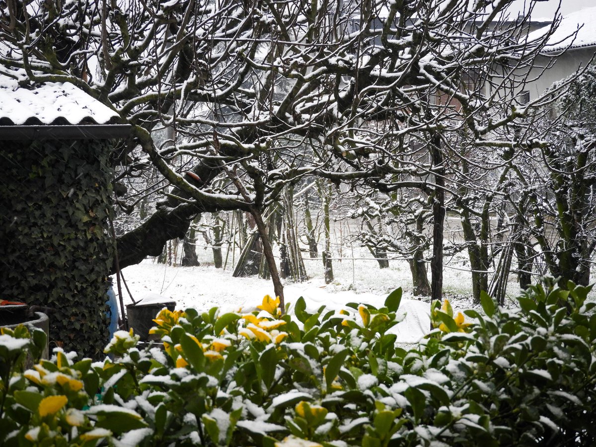 Notes from Verona: Humbled by Lazio -, image size:1200x900