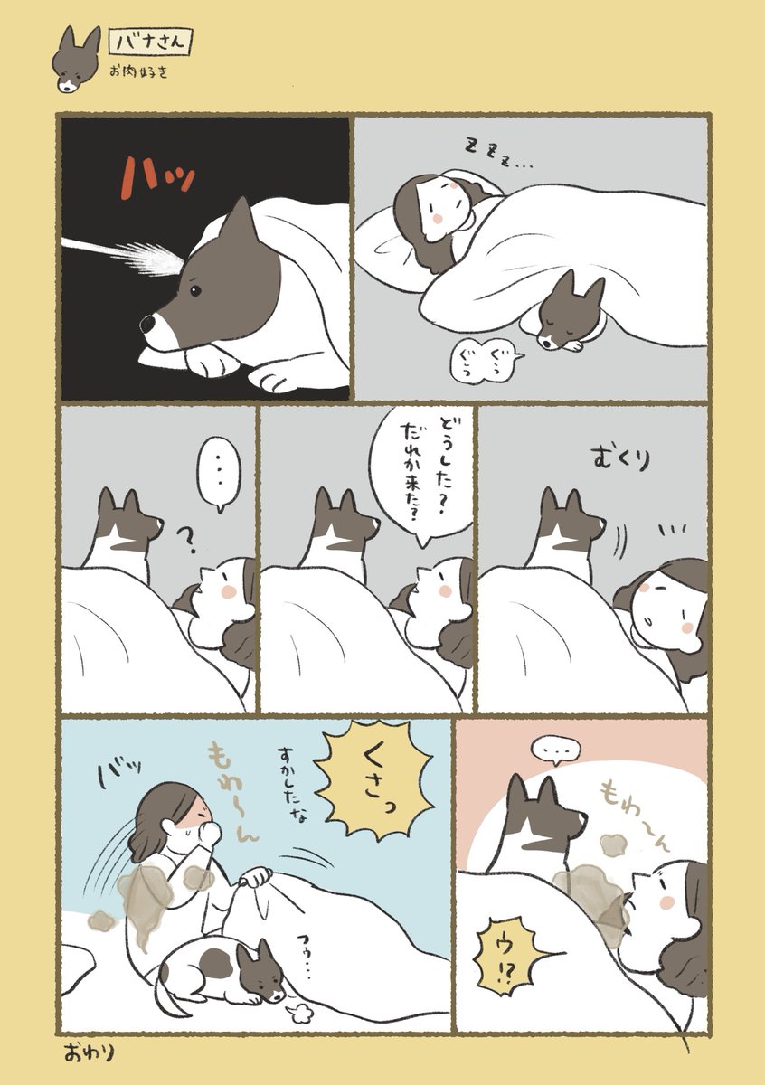 さっちん (@pk_kk_to) / Posts / X