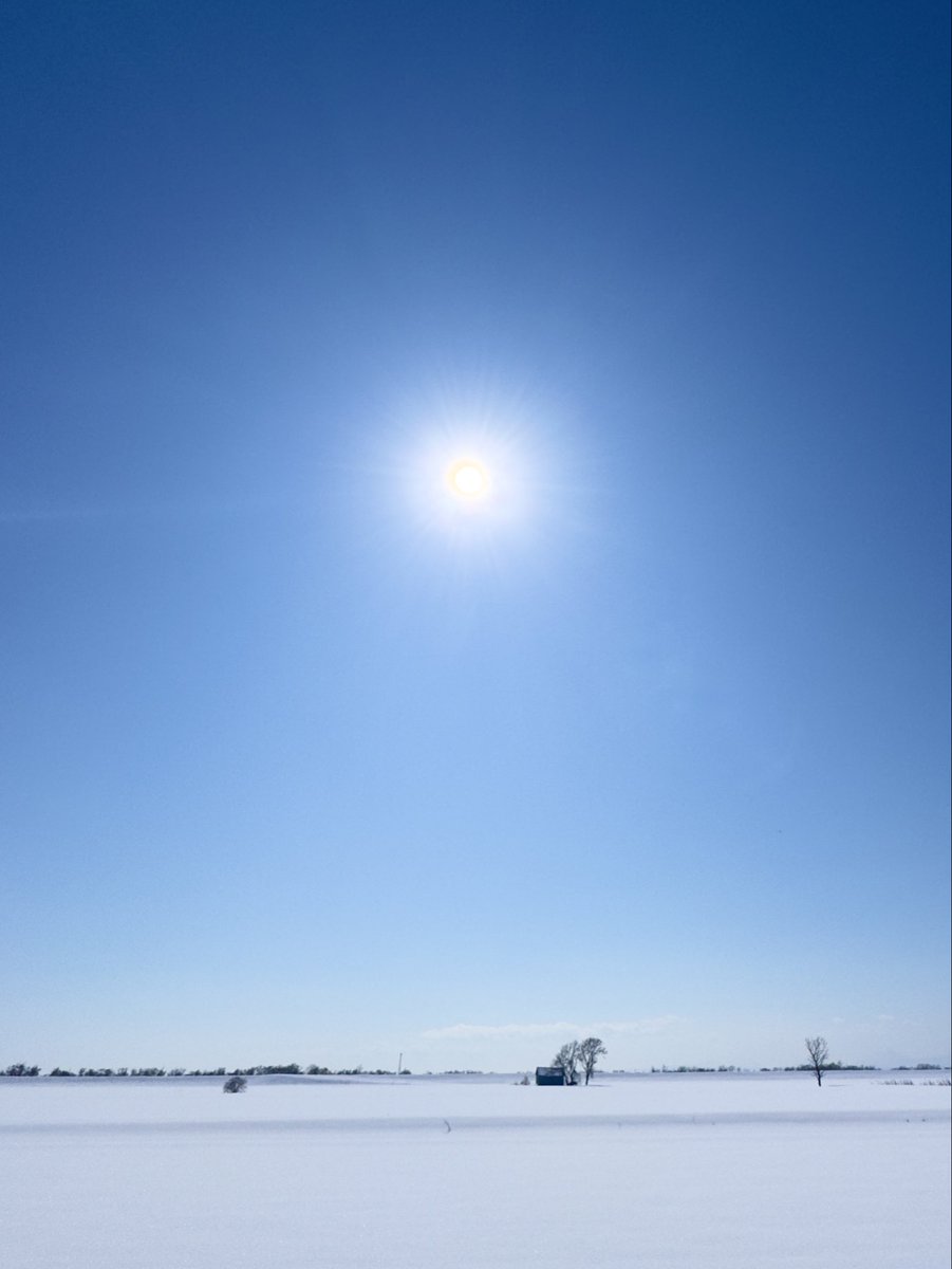 o13840's tweet image. 優しい冬の青に包まれて