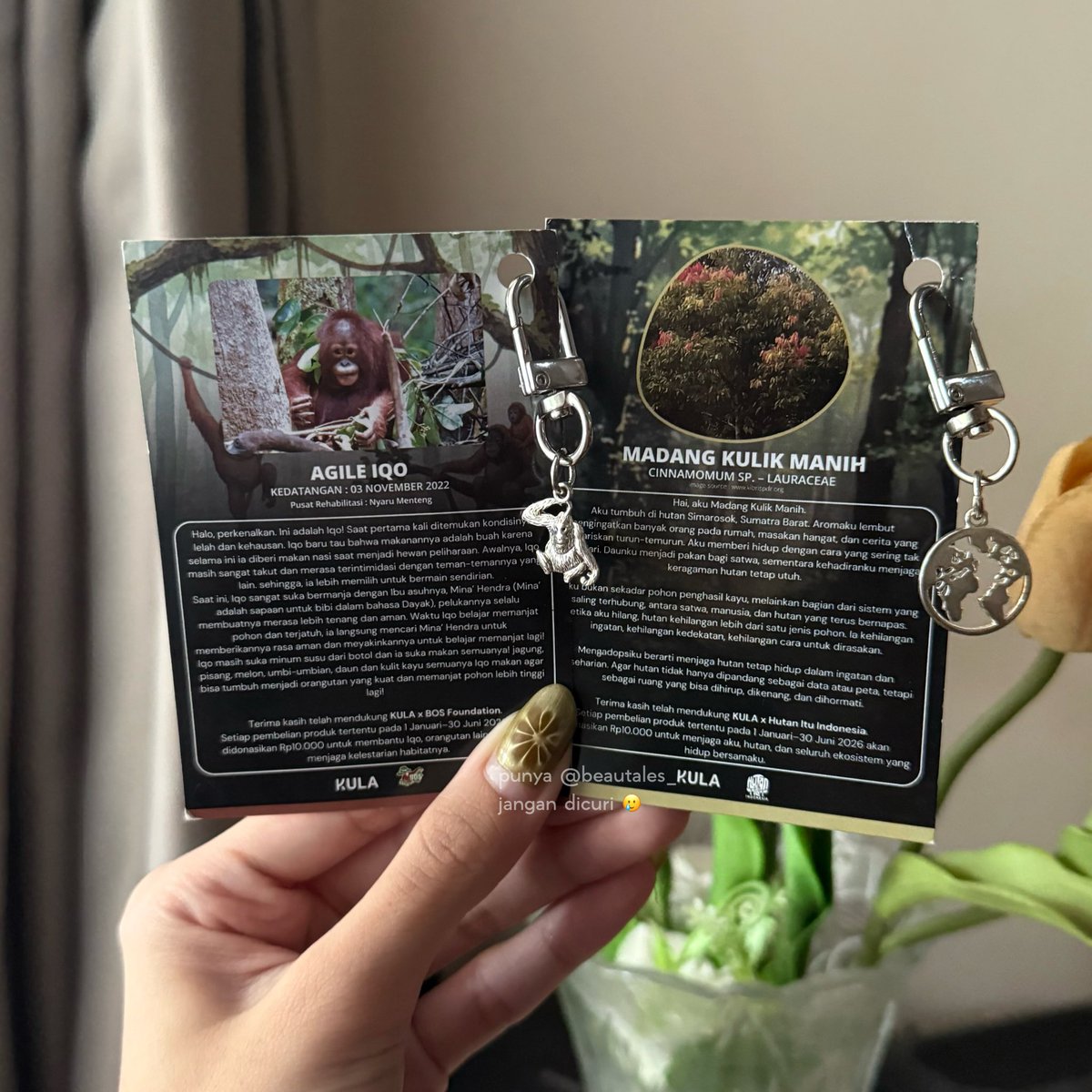 beautales_'s tweet image. DAMN… my fav brand is now helping HUTAN SUMATERA BARAT &amp;amp; ORANGUTAN too 😭😭

oh sure they reaaallyyyy need our help 🥹