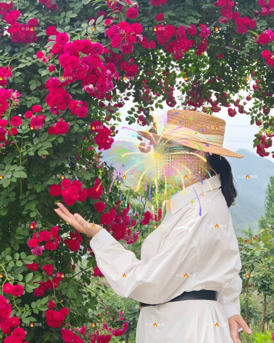 优雅肥臀妻❤️ tweet media