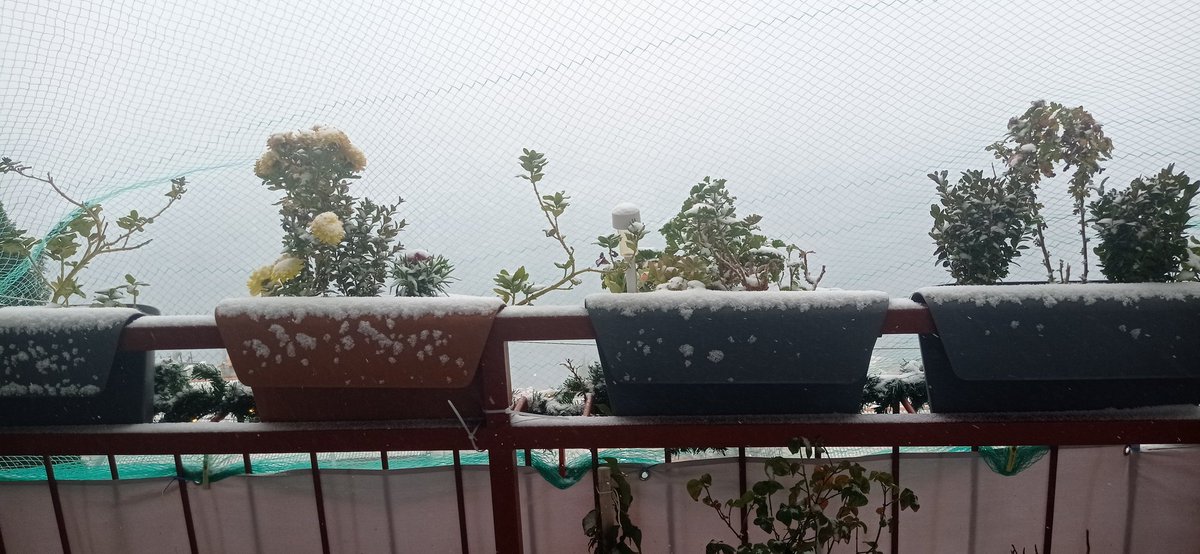 Evo i nama snjegića🌨️