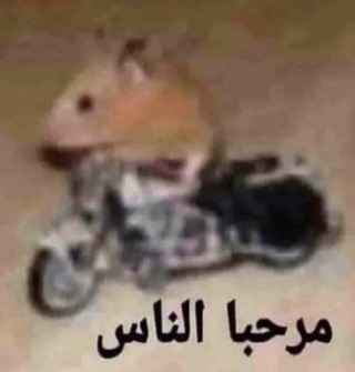 مرحبا الناس 🐀🏍️