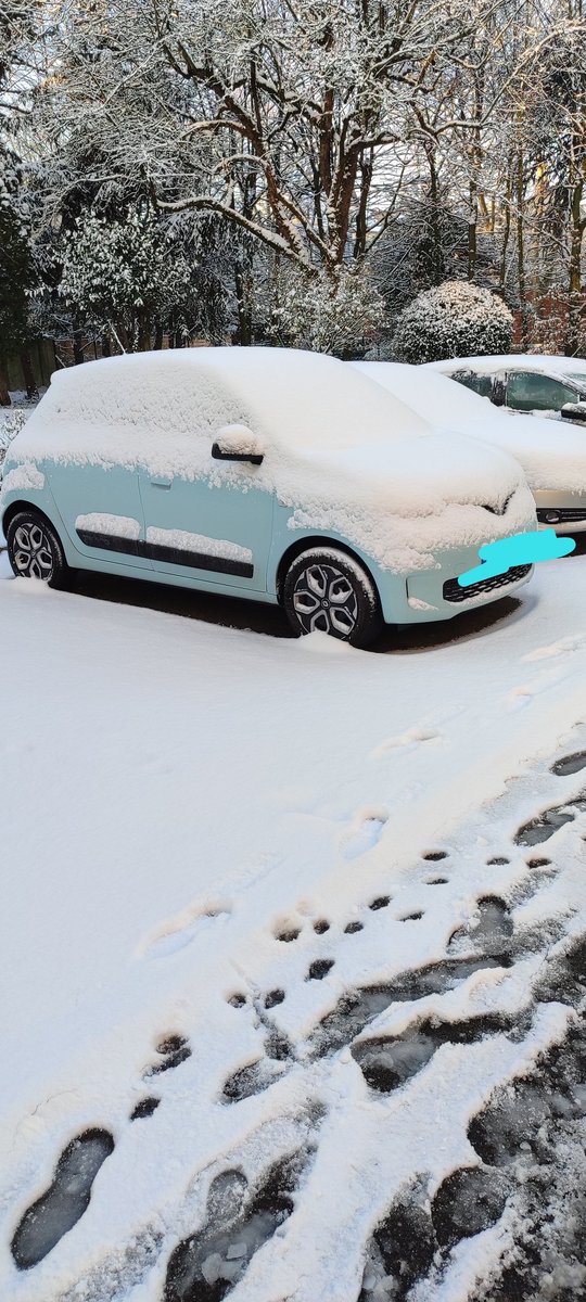 🌸🎀💗 Camille Missdactari 🦄🍹🎶🩰 tweet media