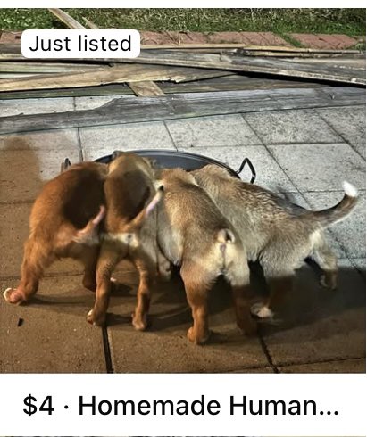BonBonBeanBean's tweet photo. Homunculi for sale on FB Marketplace https://t.co/E9epMa5I1O