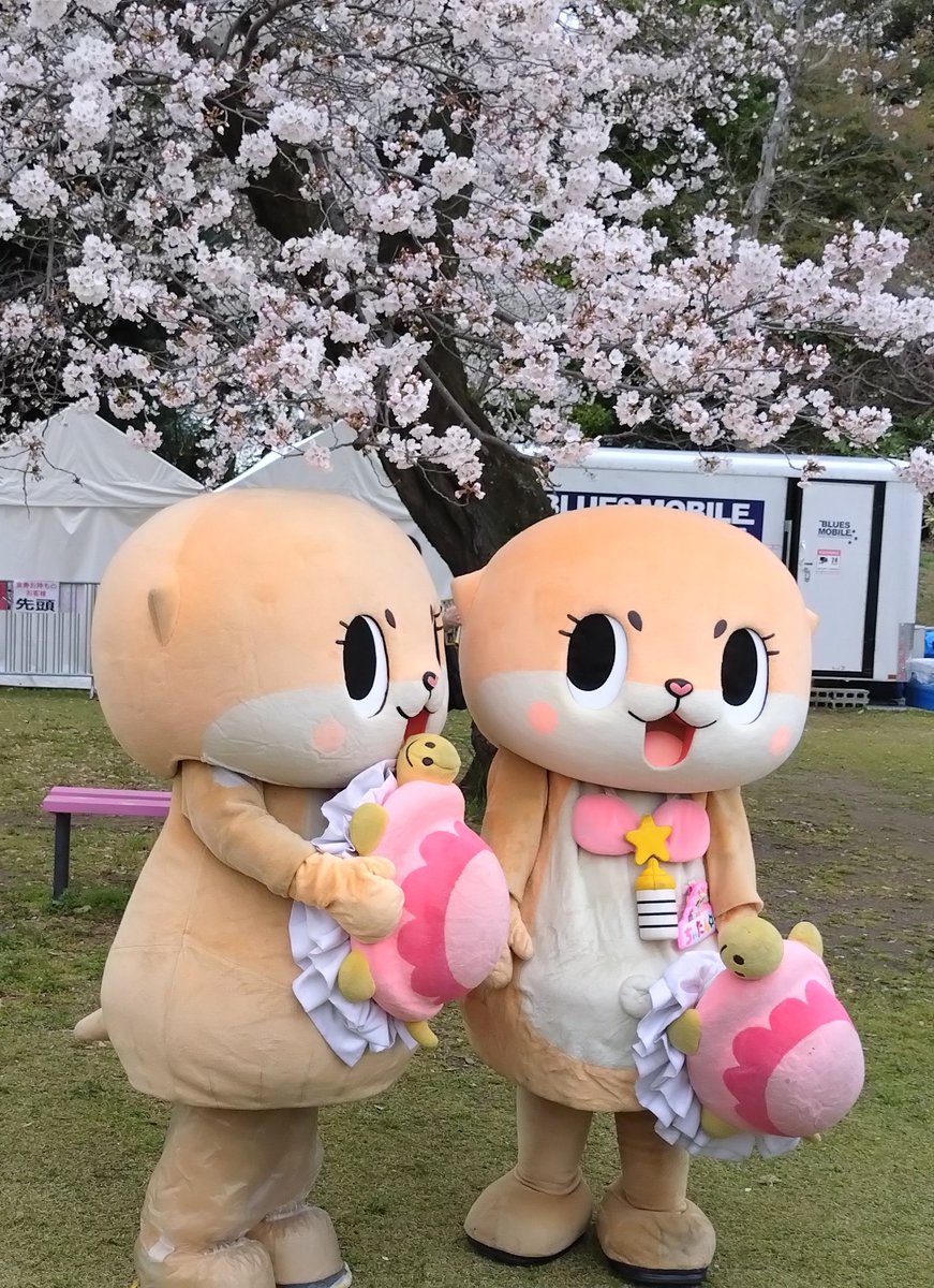 ちぃたん☆／Chiitan (@chiitan7407) / Posts and Replies / X