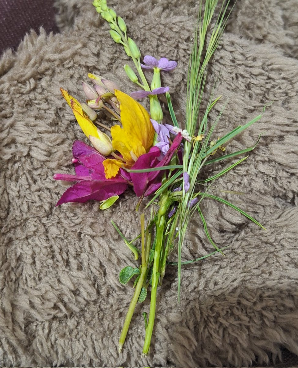 توته حبوبتي كل صبح تطلع وتقطف لي ورد وحشيش❣️❣️