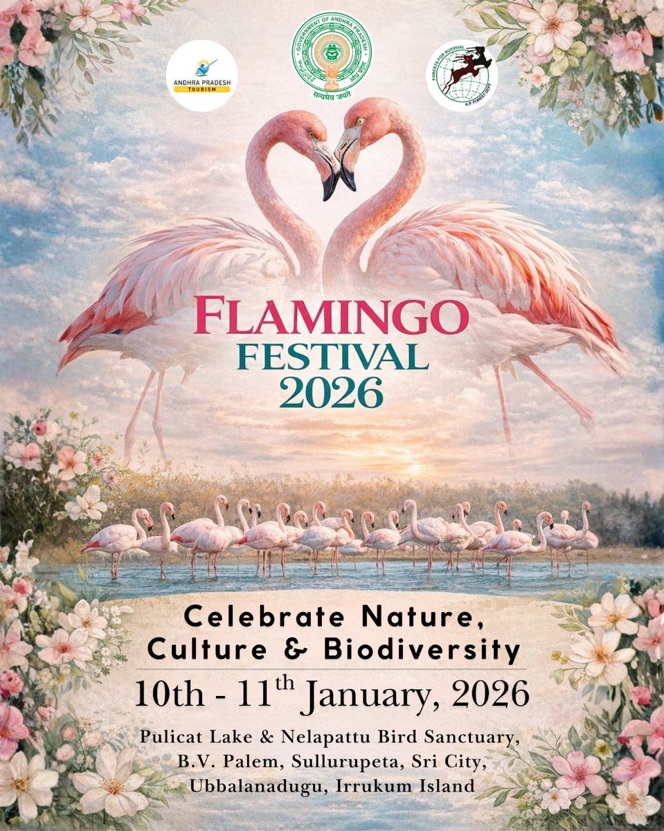 tirupati_info's tweet photo. Pink skies, wild wings and winter magic at Flamingo Festival 2026 🦩
Catch the migratory flamingos at Pulicat Lake &amp; Nelapattu on 10–11th  Jan , 2026 and celebrate nature, culture &amp; biodiversity with us.

#FlamingoFestival2026 #PulicatLake #NelapattuBirdSanctuary #APTDC https://t.co/vlQ2r1Uk8W