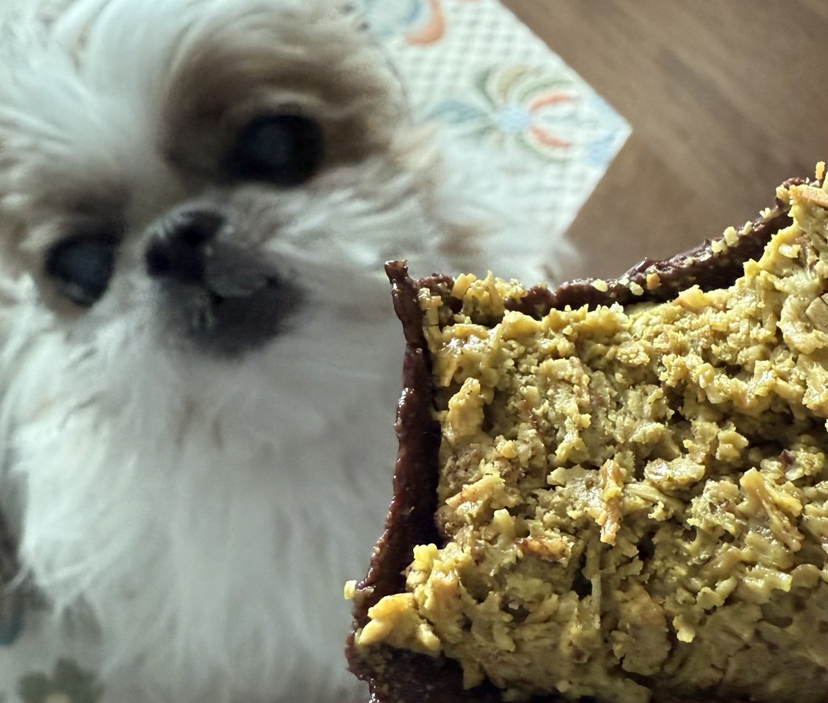 휴무날이고
몽룡이있고
두쫀쿠먹음