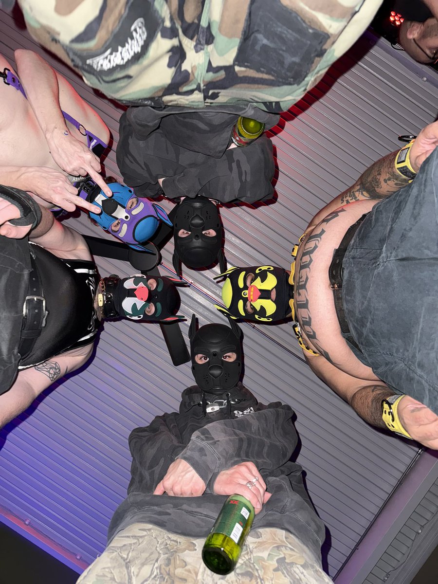 Hot dogs doing hot dog things 🐶