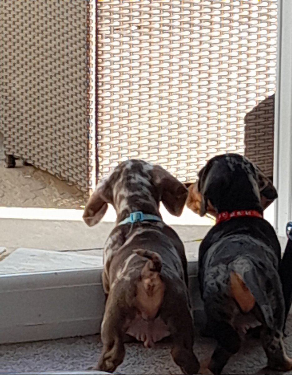 Heather Wearden tweet media