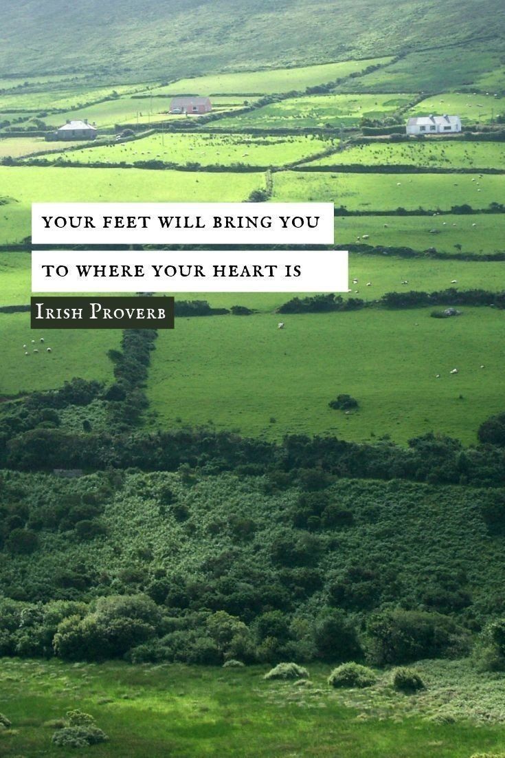 CeltAesthetics's tweet image. 