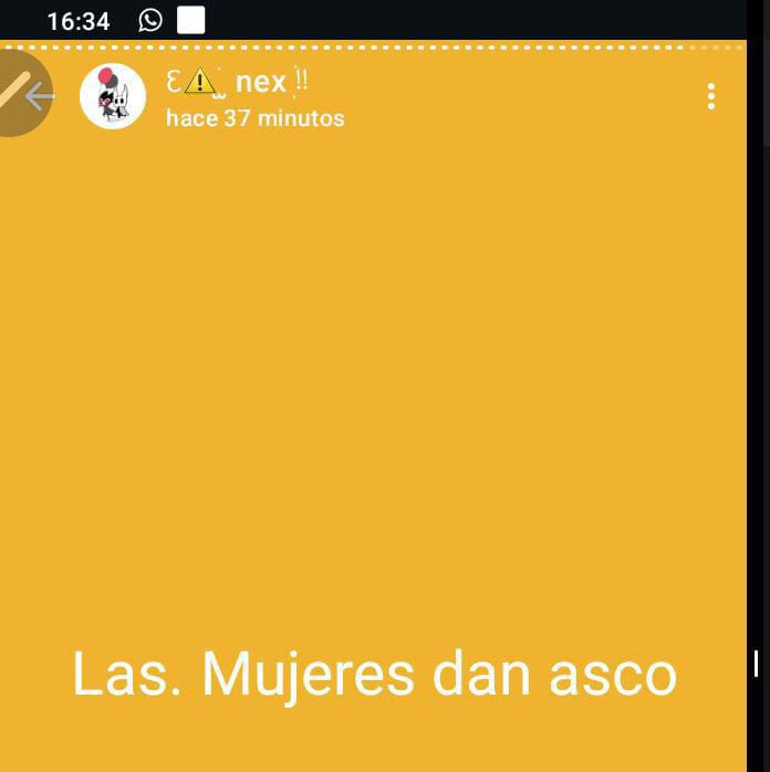 maxill14_'s tweet photo. @0SweetPinkmeme + tres ocasiones diferentes de Nex siendo misógino y tránsfobo https://t.co/uPTe1dm8tY