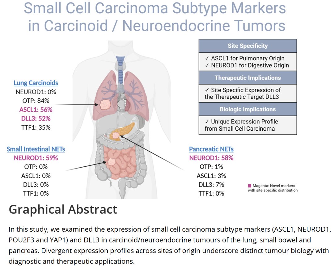 Natasha Rekhtman MD PhD tweet media