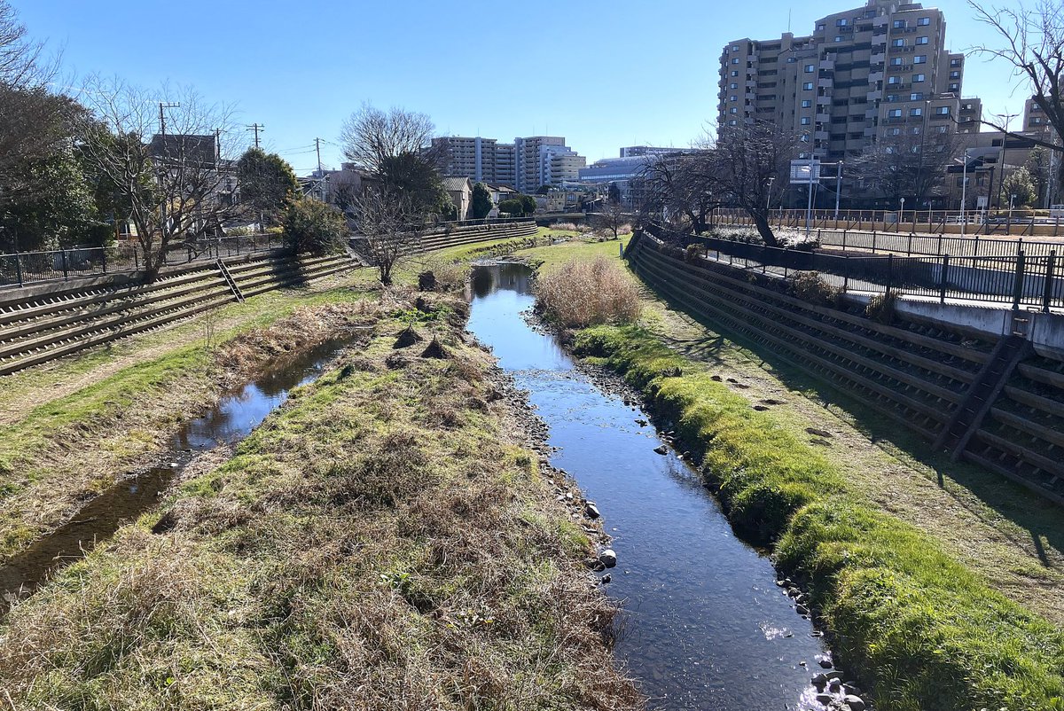 冨永 格（たぬちん） tweet media