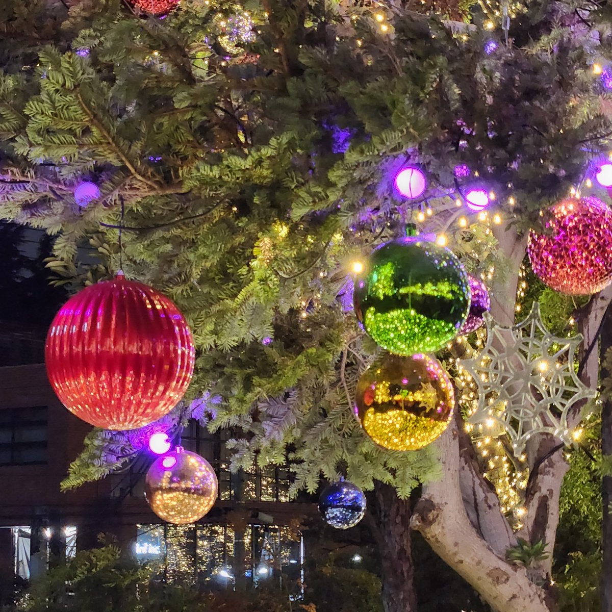 きたじまくん tweet media