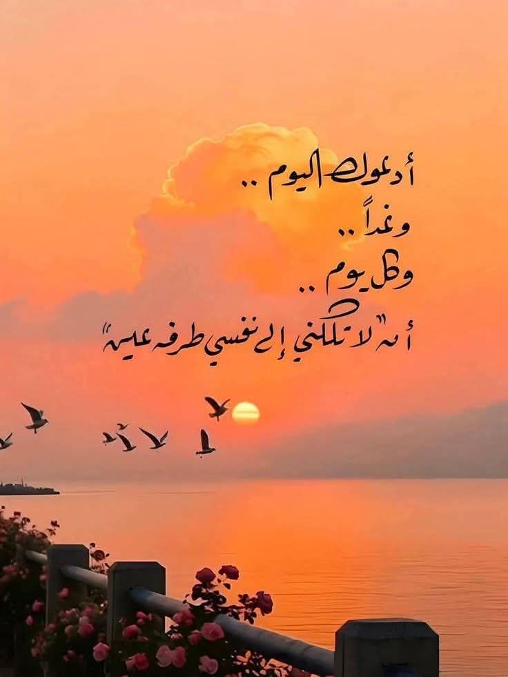 فـيـروزه 🇵🇸❤ tweet media