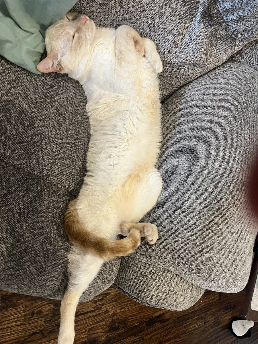 ItsCardiff's tweet image. L O N G