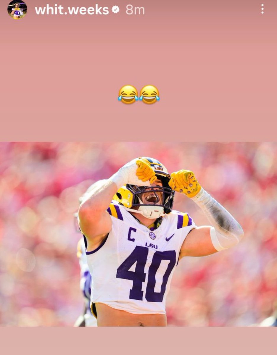 Peyton Westling tweet media