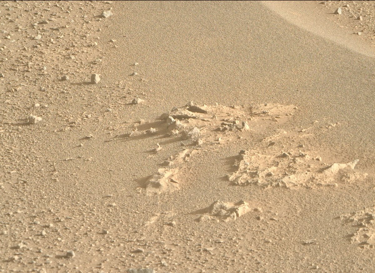 A recent picture from Mars  ✨