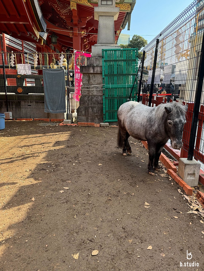 bf_bstudio's tweet photo. 🐎#午年🐴 #2026年 
あけましておめでとうございます🥰

毎年恒例の神田明神に初詣に行ってきました❣️
皆さまにとって良いお年になりますように！ 
今年もどうぞよろしくお願いいたします🩷

#bꓸstudio #都内スタジオ #撮影 #YouTube https://t.co/ZehyHf9U9E