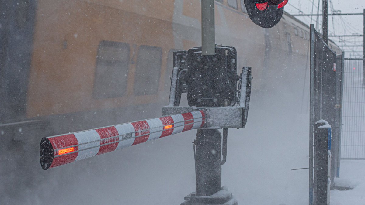 weerverteller's tweet photo. Voor al die Nederlanders die van sneeuw houden, is het een topweek zo. Sneeuw maakt wat los in mensen, velen genieten ervan. Soms zelfs meer dan hun kinderen. https://t.co/lbW5liKH5C #winter #winter2026 #sneeuw #plezier

Foto's: John Oomen, Jolanda Bakker, Ab Donker. https://t.co/eI3PKKnrQn