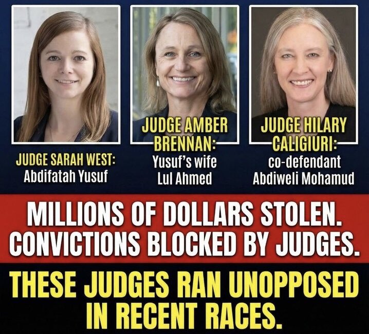 LeahRain77's tweet image. These three judges dismissed Somali fraud cases… These are the faces of judicial tyranny !