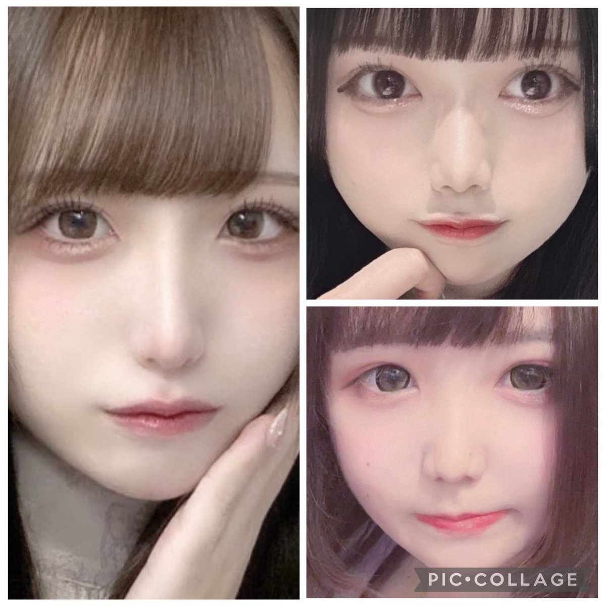 ❄️🦌1/6も元気に営業🦌❄️

本日も元気に営業してます😊

いつも可愛い子いっぱい💕

絶対楽しいヤーツ♬

ルピ👻<a href="/Lupiriareve/">【公式】MaidCafe&barルピリアレーヴ《あんどおるぐるーぷ》</a> 

デビ👿<a href="/devil__holic/">【公式】MaidCafe&barデビルホリック《あんどおるぐるーぷ》</a> 

ルナ🧙‍♀️<a href="/Luna_ange_/">【公式】MaidCafe&barルナアンジュ《あんどおるぐるーぷ》</a> 

#メイド #コンカフェ #京都
#西院 #河原町 #祇園 #求人