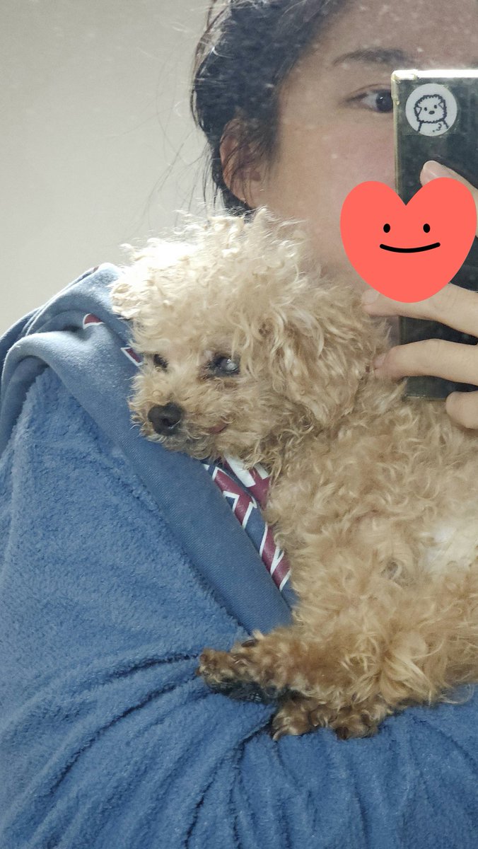 홈런볼 봉다리를 팍 뜯은 다음에
그 안에 오다리오징어 하나를 넣고 잘 흔들어서 냄새를 맡으면
요녀석 얼굴냄새랑 비슷할듯