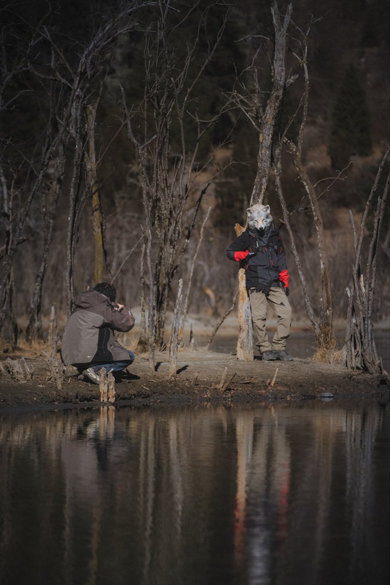 Signedoge's tweet image. 📸：@TheCIPF