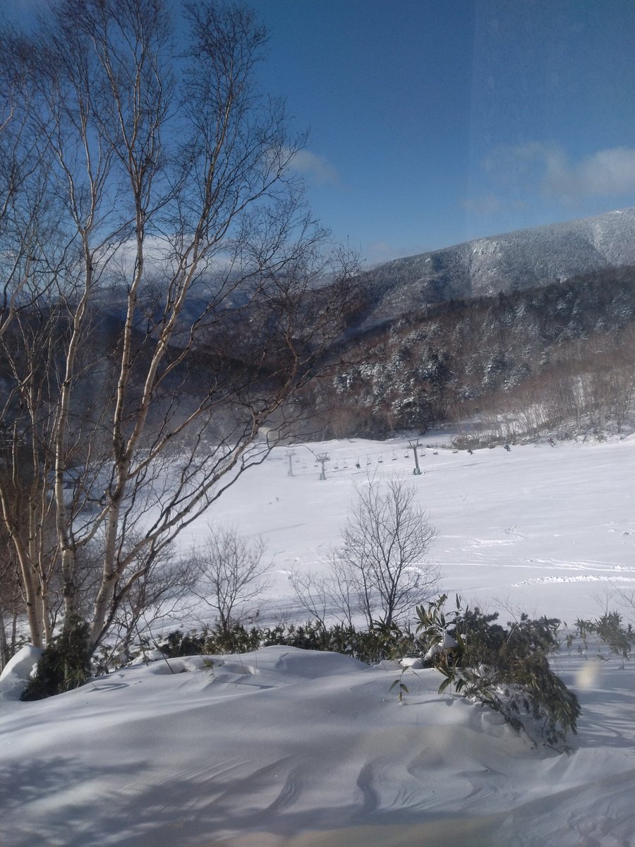 emkcool's tweet photo. コンデション　最高⛷️ https://t.co/4piL1u0pjz