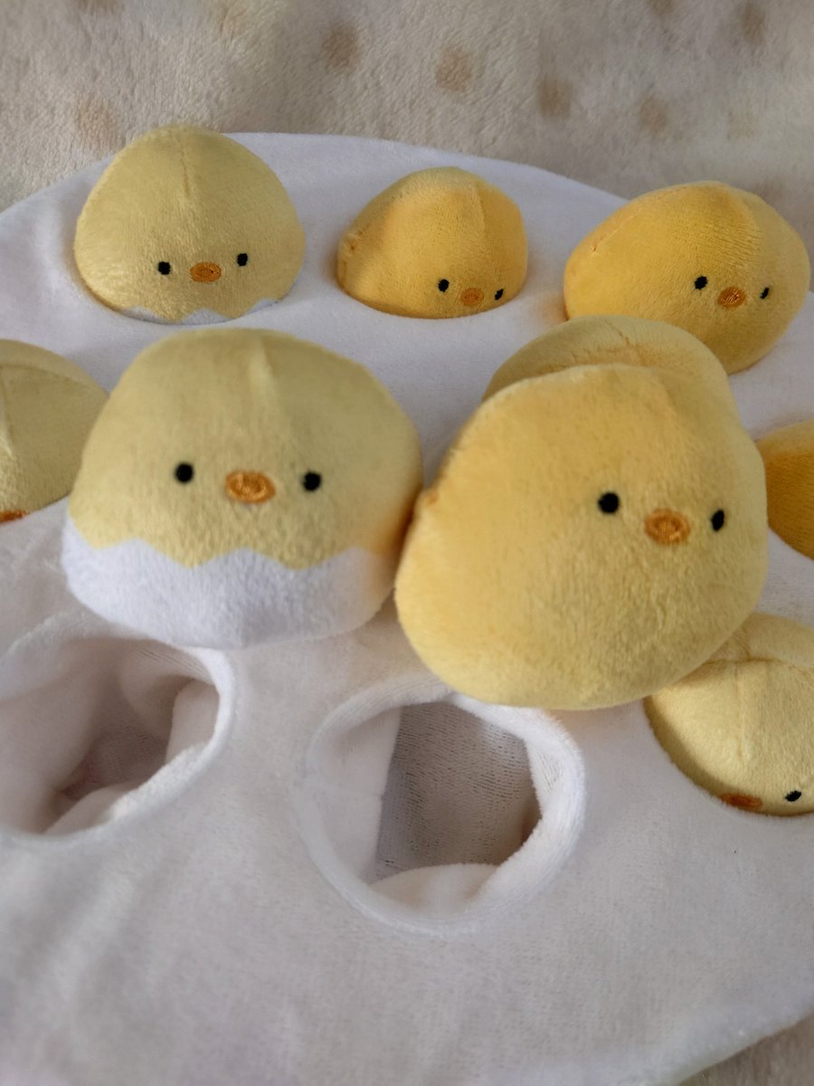 mcdtmm1204's tweet photo. 長女の旦那様からいただきました(*^^*)

 #ひよこ
 # たまご https://t.co/u6iqgSNmsk
