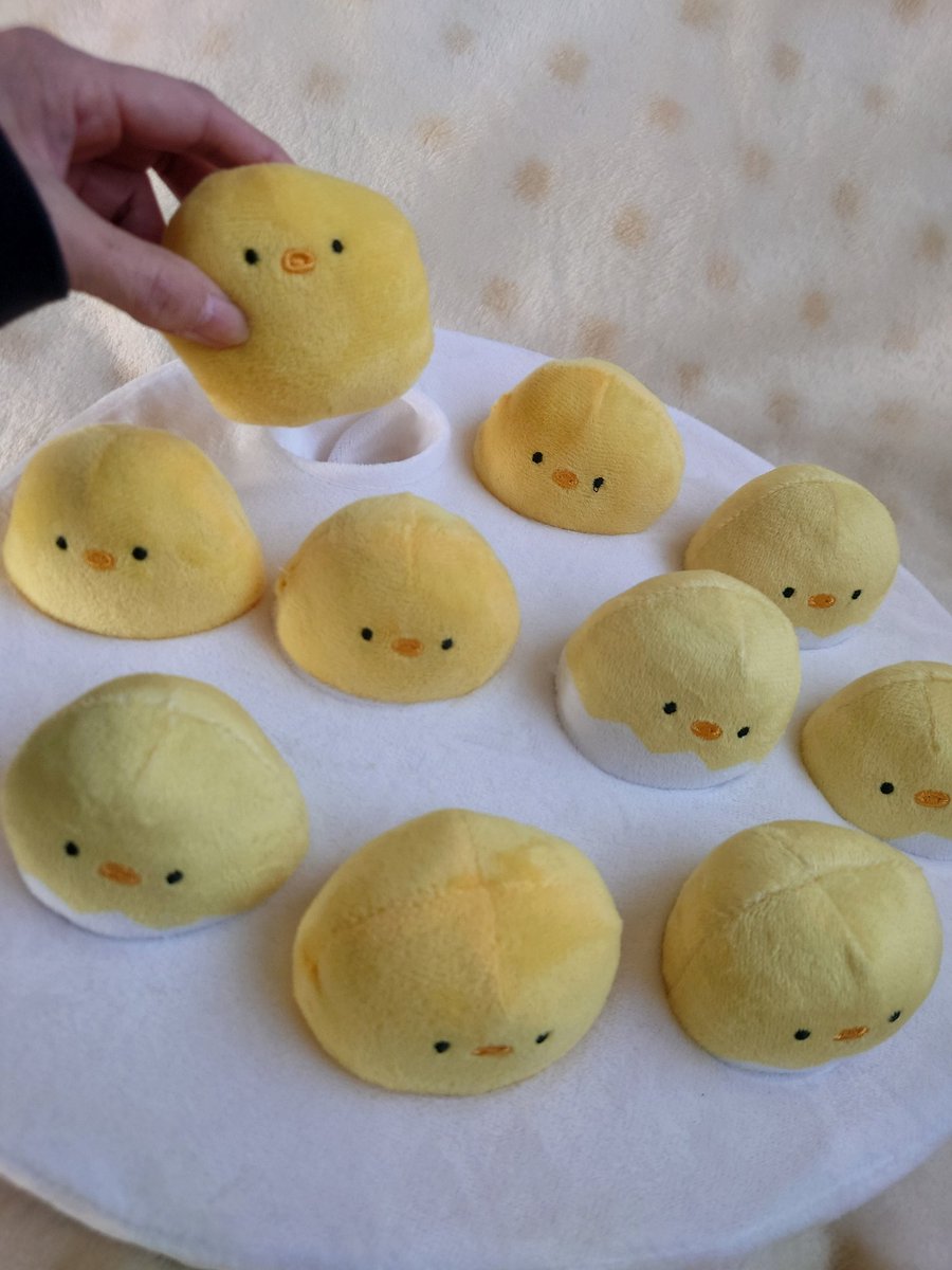mcdtmm1204's tweet photo. 長女の旦那様からいただきました(*^^*)

 #ひよこ
 # たまご https://t.co/u6iqgSNmsk
