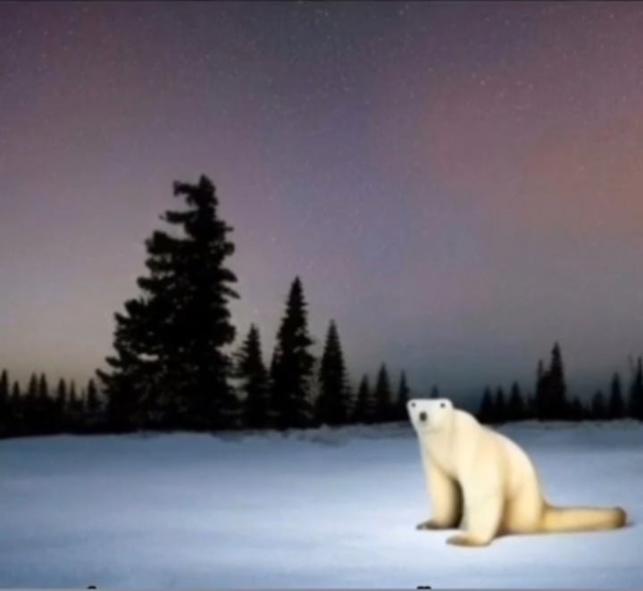 It's 2026, and you are finally old enough to get the polar bear meme.