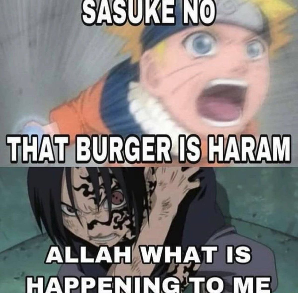 truspheree's tweet image. 