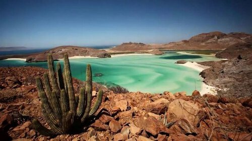 YoAmoaLaCiencia's tweet image. ¿Qué significa que México tenga 25 de los 28 grupos de suelo del mundo?

A nivel internacional, los suelos se clasifican en grandes grupos que reflejan los principales procesos de formación del suelo en el planeta.

Uno de los sistemas más utilizados para estas comparaciones es…