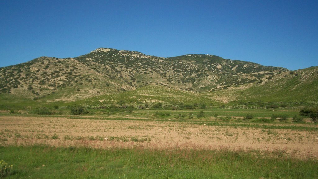 YoAmoaLaCiencia's tweet image. ¿Qué significa que México tenga 25 de los 28 grupos de suelo del mundo?

A nivel internacional, los suelos se clasifican en grandes grupos que reflejan los principales procesos de formación del suelo en el planeta.

Uno de los sistemas más utilizados para estas comparaciones es…